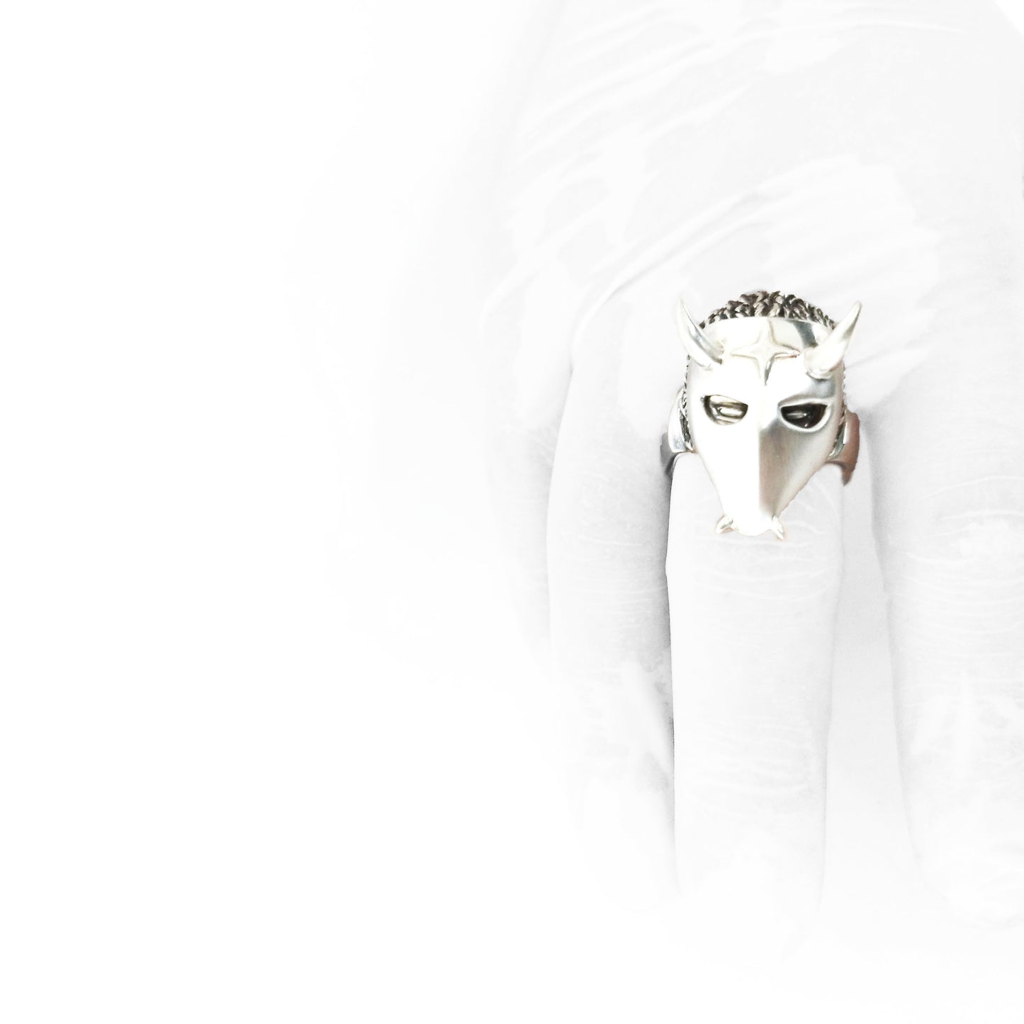 サウザーフェイスリングMASKver.